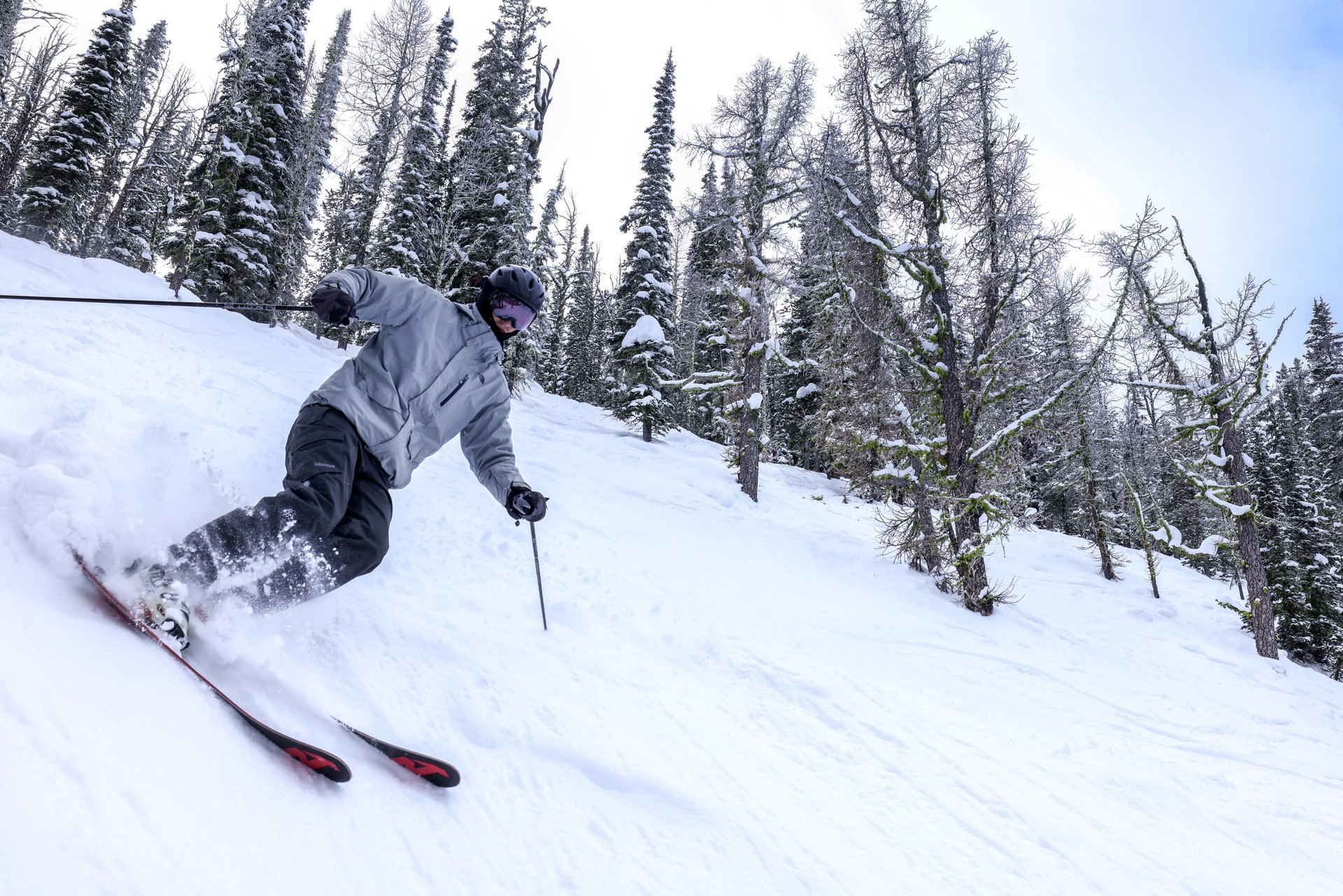 Discovery_Skier-David-Kirk-large Ski Discovery Ski Area - Photo: Sarah Bolt